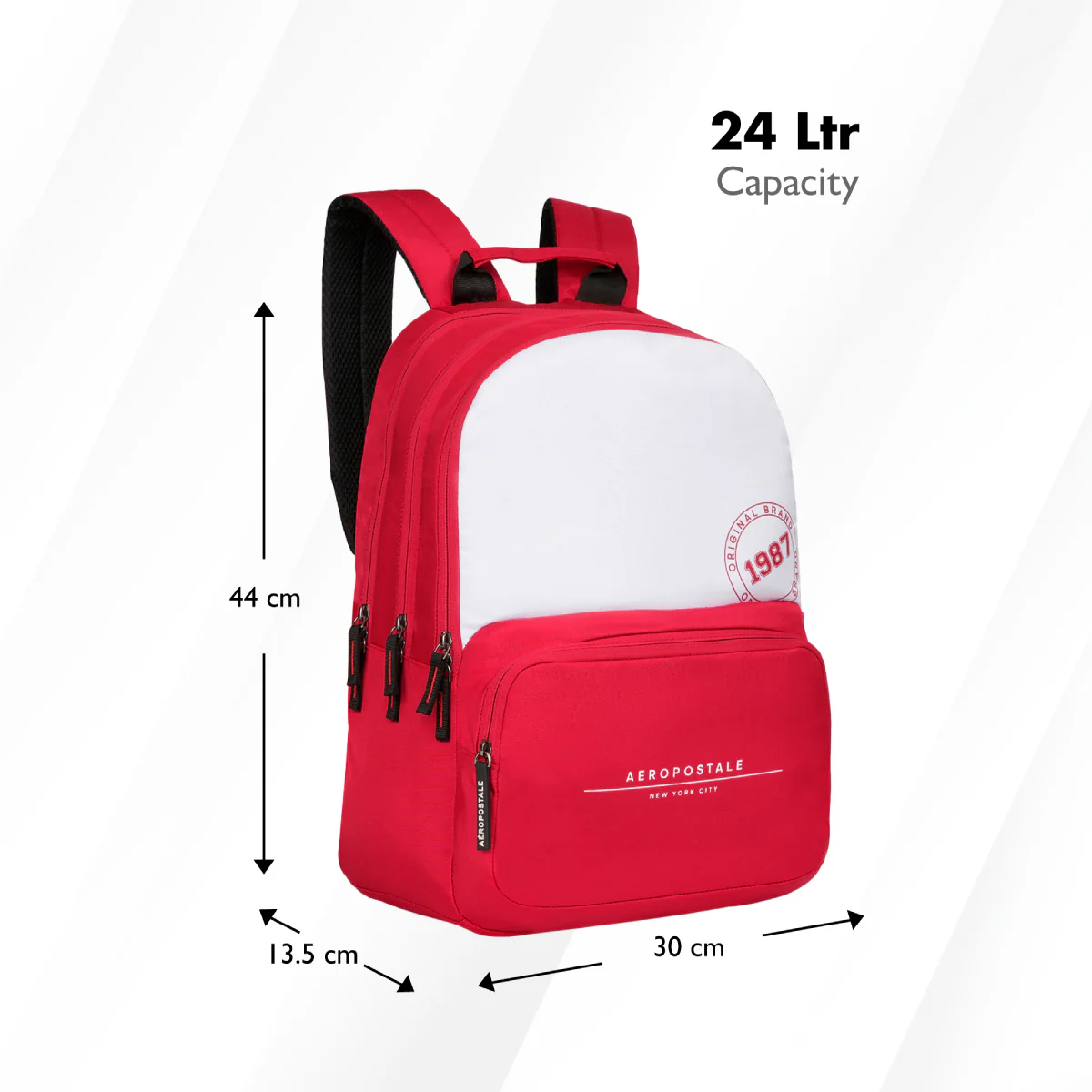 Aeropostale Wilton Laptop Backpack - Image 8