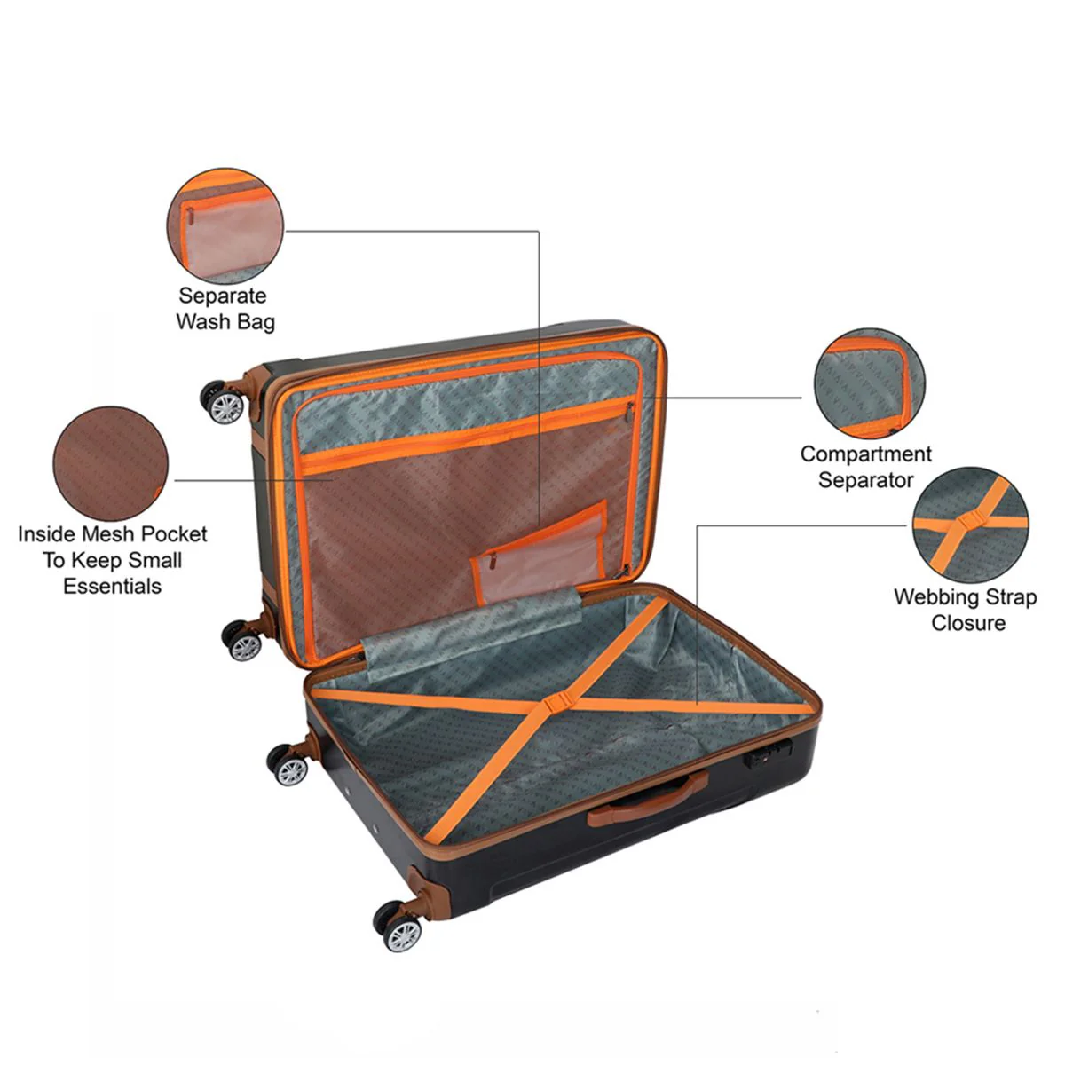 The Vertical Griffin Hard Luggage - Image 6