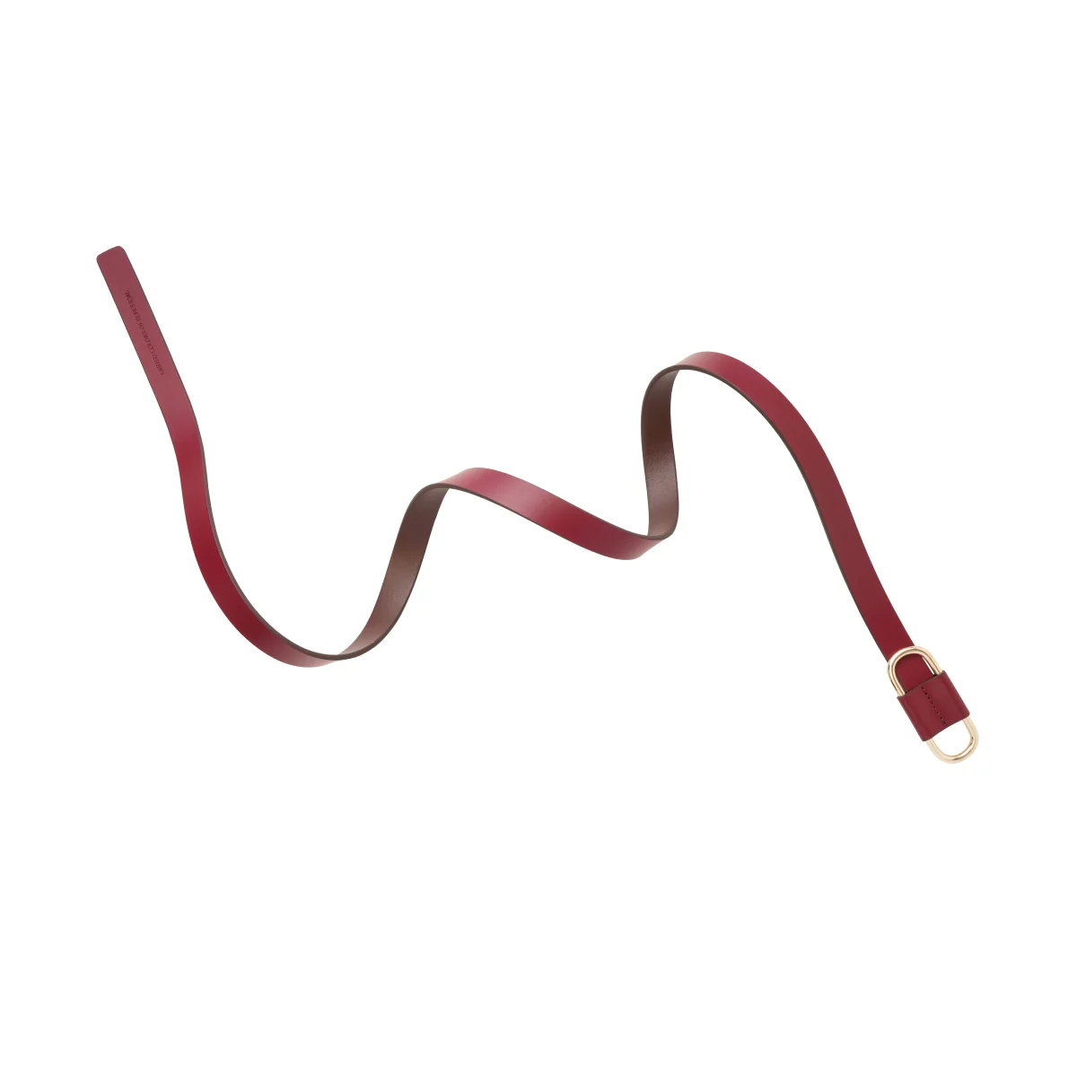 United Colors of Benetton Terra Curve Women's Non Reversible Belt - Image 5